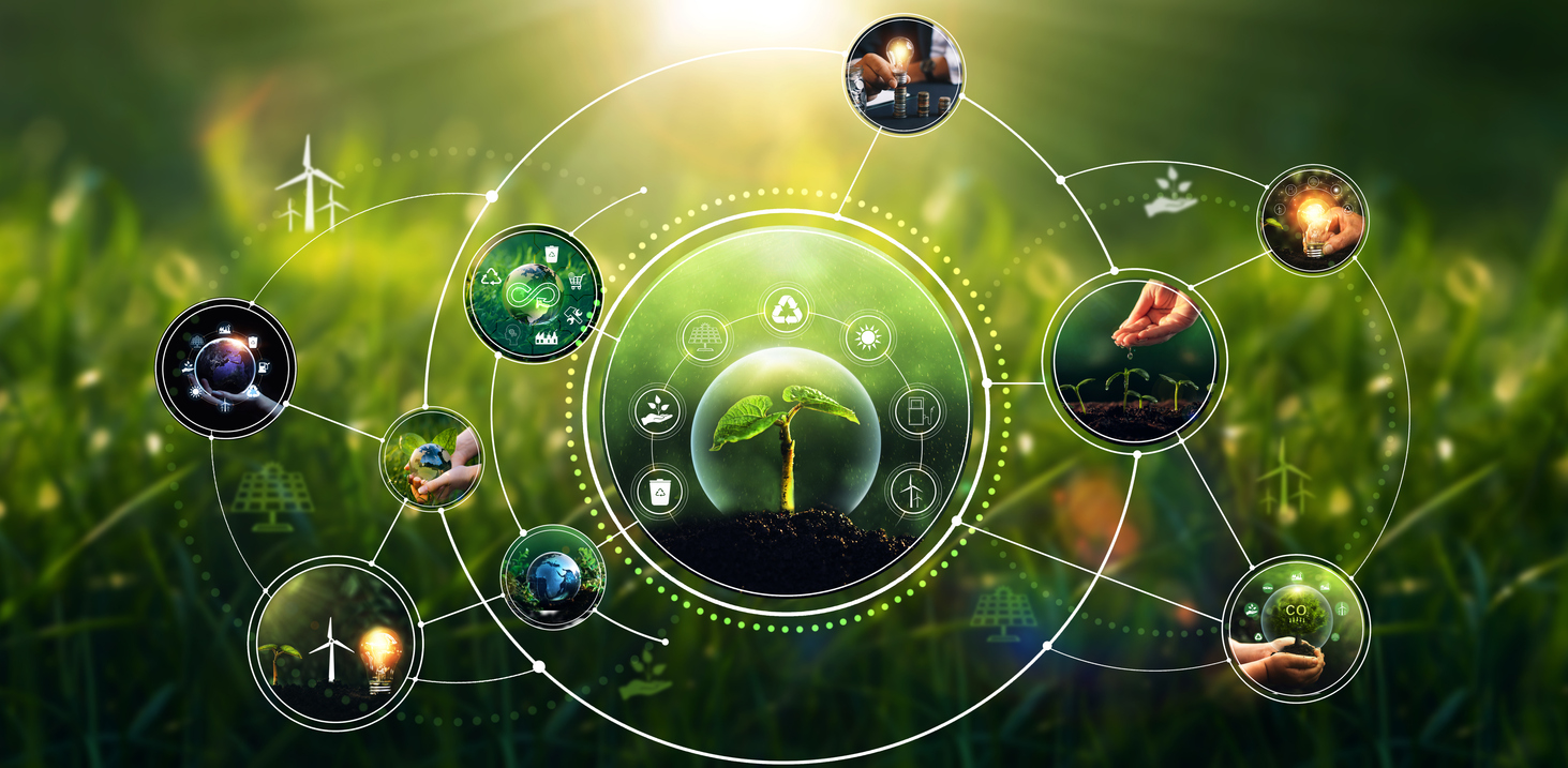 Spółdzialnia energetyczna